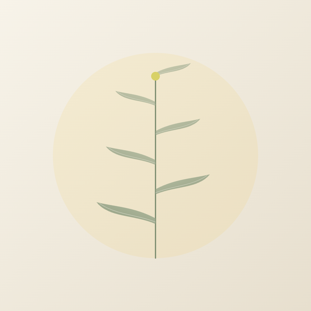 Botanical leaf illustration
